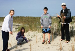Dune grass planting is a family affair