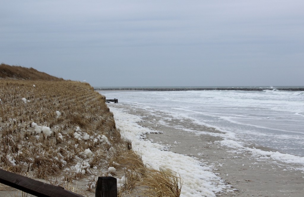 2019 Sand Back Passing Project Avalon New Jersey