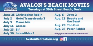 2019 Avalon Beach Movie Poster