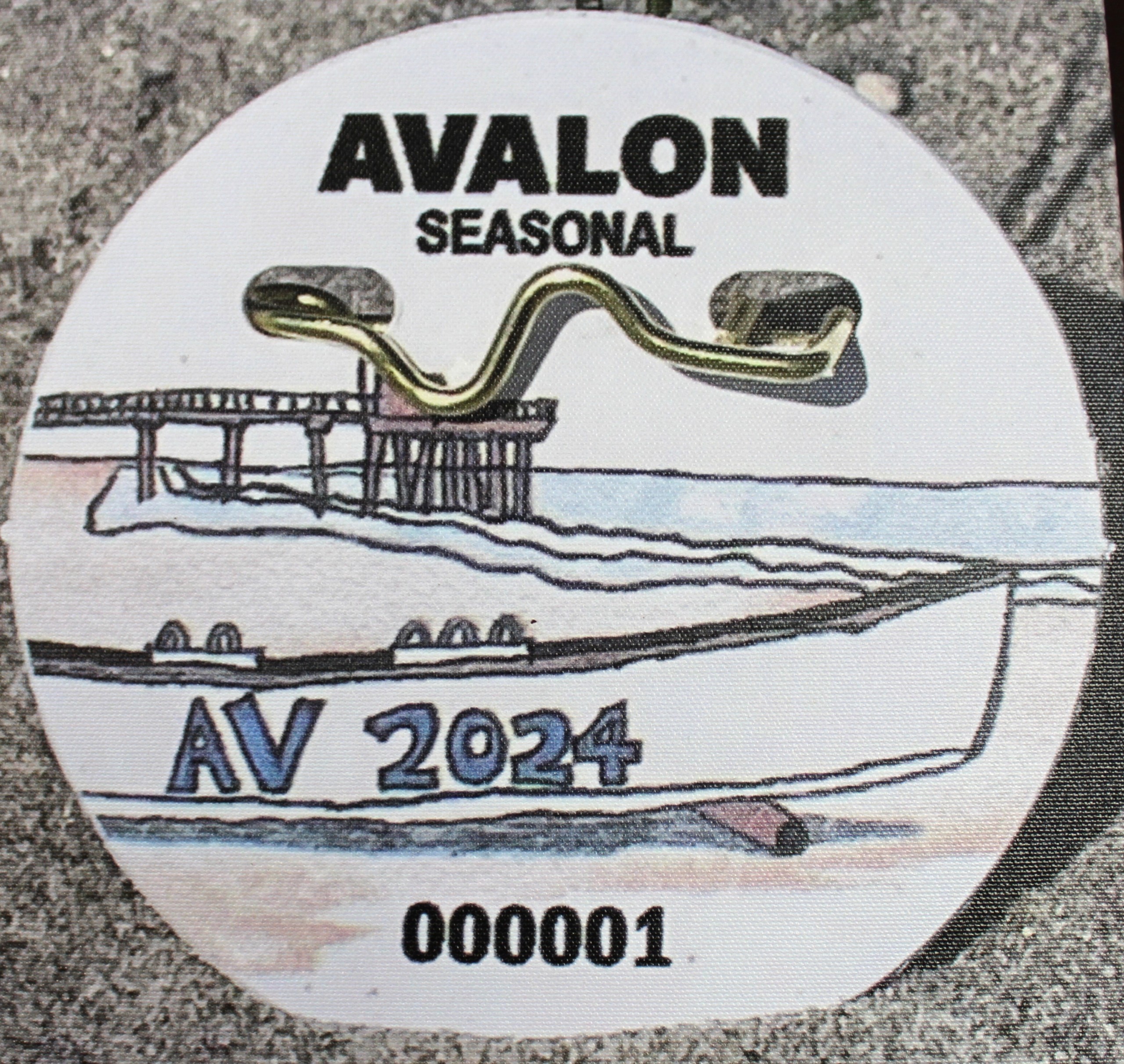 2024 Avalon Beach Tag Art Design Contest Winner 7th Grader Charlotte